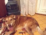     
: k9xAfG3oKac.jpg
: 13
:	290.3 
ID:	9681965