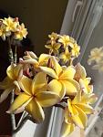     
: IMG_0058.jpg
: 9
:	74.0 
ID:	9682270