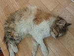     
: 2015-04-08 16.32.06.jpg
: 51
:	99.1 
ID:	9682740