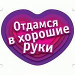     
: 27.jpg
: 7
:	10.9 
ID:	9682863