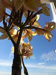     
: IMG_0063.jpg
: 7
:	72.0 
ID:	9685463