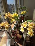     
: IMG_0065.jpg
: 7
:	124.1 
ID:	9685465