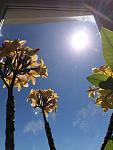     
: IMG_0067.jpg
: 6
:	71.5 
ID:	9685466