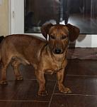    
: IMG_9250.JPG
: 62
:	250.7 
ID:	9687070