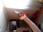     
: IMG_20150410_131922.jpg
: 46
:	103.6 
ID:	9689942