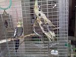     
: IMG_20150410_133546.jpg
: 38
:	138.2 
ID:	9689957