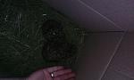     
: IMG_20150410_154135.jpg
: 24
:	84.7 
ID:	9690700