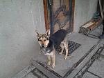     
: EcBFv9pohHs.jpg
: 21
:	234.2 
ID:	9691556