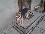     
: y9fODcbznok.jpg
: 27
:	270.7 
ID:	9691558