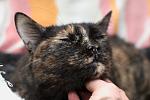     
: DSC_0055.jpg
: 34
:	95.5 
ID:	9692037