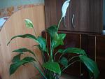     
: DSC00228.jpg
: 19
:	97.2 
ID:	9692929