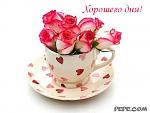     
: horoshyego_dnya_0.jpg
: 20
:	30.4 
ID:	9693051