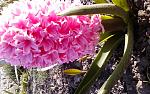     
: 20150412_084207.jpg
: 12
:	173.7 
ID:	9696837