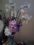     
: IMG_20150412_194335.jpg
: 19
:	77.0 
ID:	9696972