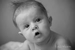     
: DSC_0439 4b.jpg
: 50
:	109.6 
ID:	969928