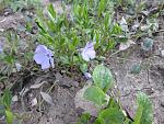     
: IMG_3081.jpg
: 7
:	194.9 
ID:	9705136