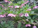     
: IMG_0013.jpg
: 4
:	175.1 
ID:	9705271