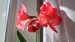     
: SAM_1044.jpg
: 15
:	71.8 
ID:	9705407