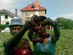     
: image (45).jpg
: 19
:	13.0 
ID:	9708187