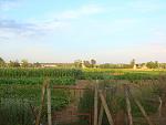     
: DSC08745.jpg
: 33
:	127.8 
ID:	9708302