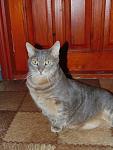     
: DSC03526.jpg
: 12
:	166.5 
ID:	9712330