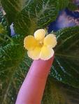     
: DSC_4420.jpg
: 61
:	82.5 
ID:	9718032