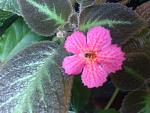     
: DSC_4452.jpg
: 75
:	121.9 
ID:	9718104