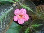     
: DSC_4462.jpg
: 70
:	174.5 
ID:	9718105