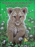     
: 5b9db1ab165584326464e7bfdbf246b5.jpg
: 1
:	50.9 
ID:	9725276