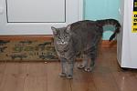     
: IMG_5861.jpg
: 22
:	90.1 
ID:	9731807
