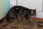     
: IMG_5886.jpg
: 2
:	106.5 
ID:	9735095