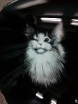     
: uv8gr6H8uvk.jpg
: 16
:	53.4 
ID:	9735306