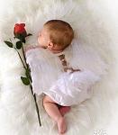     
: 2324004e6adf.jpg
: 47
:	24.6 
ID:	9735361