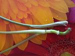     
: 20150426_103116.jpg
: 27
:	108.1 
ID:	9735614