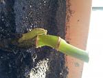     
: 20150426_103035.jpg
: 33
:	122.5 
ID:	9735615
