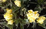     
: 20150421_181115.jpg
: 71
:	141.4 
ID:	9738443