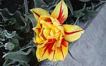     
: 20150421_181022.jpg
: 14
:	116.7 
ID:	9738466
