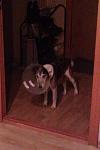     
: IMAG1123.jpg
: 221
:	83.6 
ID:	9739327