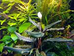     
: DSC_0318.jpg
: 29
:	257.5 
ID:	9739686