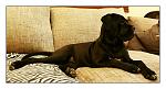     
: 20150329_012719.1.jpg
: 9
:	148.0 
ID:	9739776