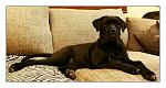     
: 20150329_012726.1.jpg
: 7
:	167.9 
ID:	9739777