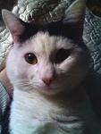     
: rSuKielFk0U.jpg
: 12
:	129.2 
ID:	9744540