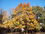     
: 28gqXzMkcqA.jpg
: 153
:	114.6 
ID:	9745215