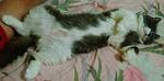     
: 24KYxtwOuRM.jpg
: 9
:	168.0 
ID:	9752370