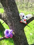     
: IMG_5565.jpg
: 17
:	126.4 
ID:	9753907
