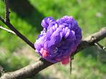     
: IMG_5573.jpg
: 17
:	95.4 
ID:	9753910