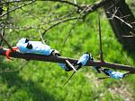     
: IMG_5586.jpg
: 14
:	124.2 
ID:	9753919