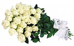     
: 1321517713_bolshoi_buket_iz_kremovyh_roz-770.jpg
: 50
:	88.5 
ID:	9757067