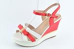     
: 150418029.300x300.jpg
: 26
:	35.0 
ID:	9757408