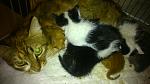     
: DSC_0934.jpg
: 34
:	89.8 
ID:	9758189